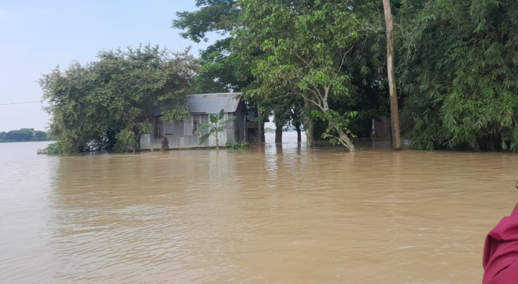 নেত্রকোনায় নদ-নদীর পানি বেড়ে নিম্নাঞ্চল প্লাবিত